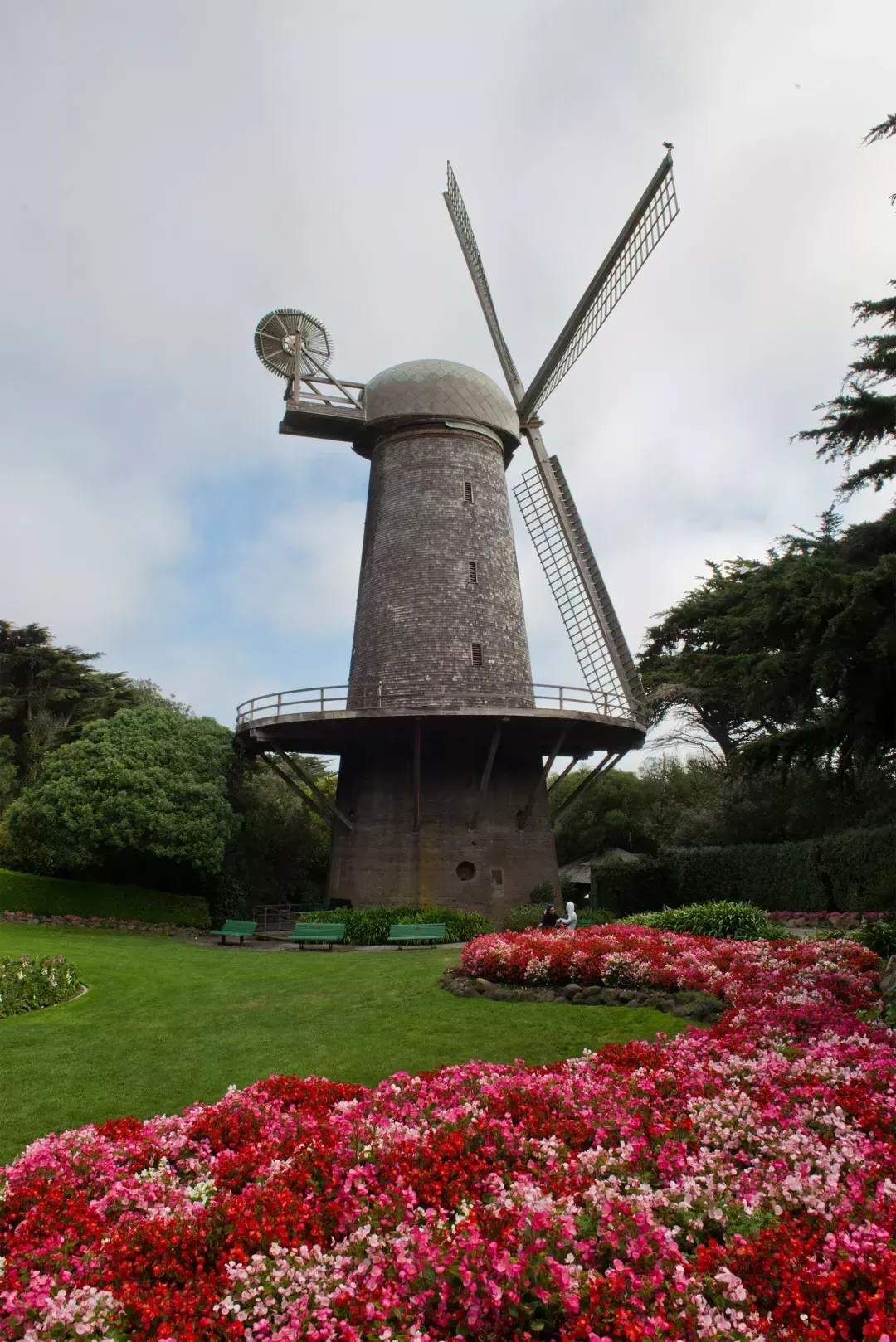 金门公园的荷兰风车